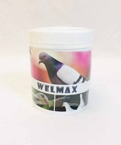دان کبوتر برند WELMAX